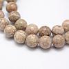 Natural Fossil Coral Beads Strands G-P325-01-8mm-1