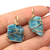 Raw Rough Natural Apatite Pendants FIND-PW0020-04F-1