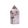 Point Tower Natural Lodolite Quartz Home Display Decoration PW-WG99911-02-4