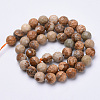 Natural Picture Jasper Beads Strands G-S281-01-8mm-2