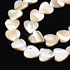 Natural Trochid Shell/Trochus Shell Bead Strands SSHEL-N034-92A-01-3