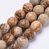 Natural Picture Jasper Beads Strands X-G-S281-01-8mm-1