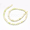 Natural Lemon Turquoise Beads Strands G-O201C-06-2