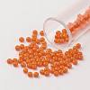 11/0 Grade A Baking Paint Glass Seed Beads X-SEED-N001-A-1004-1