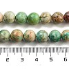 Natural Peruvian Turquoise(Jasper) Beads Strands G-Z062-A01-02-5