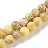 Natural Imperial Jasper Beads Strands G-I248-03-2