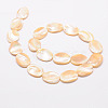Natural Sea Shell Oval Bead Strands SSHEL-M015-02-20x15mm-2