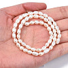 Natural Cultured Freshwater Pearl Beads Strands PEAR-N012-04B-5