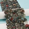 Natural African Bloodstone Beads Strands G-M403-C16-2
