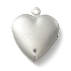 Non-Tarnish 304 Stainless Steel Diffuser Locket Pendants STAS-K002-08P-4