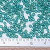MIYUKI Round Rocailles Beads X-SEED-G007-RR0147FR-4