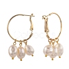 Brass Hoop Earrings EJEW-JE04273-2