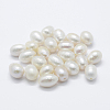 Natural Cultured Freshwater Pearl Beads PEAR-P056-022-1