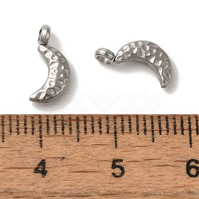 Non-Tarnish 304 Stainless Steel Charms STAS-M017-03P-1