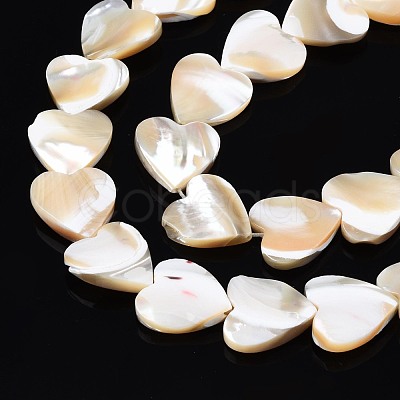 Natural Trochid Shell/Trochus Shell Bead Strands SSHEL-N034-92A-01-1