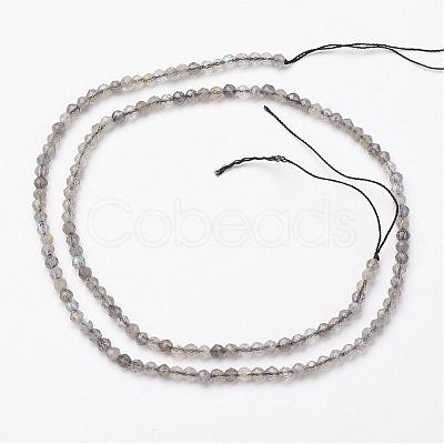 Natural Labradorite Bead Strands G-P213-38-2mm-1