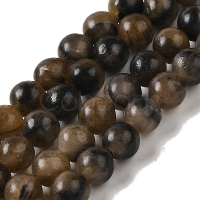 Natural Chiastolite Beads Strands G-Q161-A03-02-1