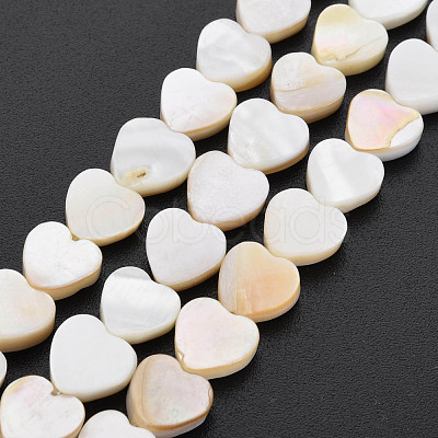 Natural Freshwater Shell Beads Strands X-SHEL-S276-70-1