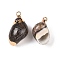 Natural Sea Shell Pendants, Shell Shaped Charms with Golden Tone Iron Loops, Black, 15~30x10~19x7~15.5mm, Hole: 1.4~2.5mm