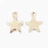 304 Stainless Steel Charms STAS-G179-80G-2