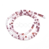 Glass Beads Strands GLAA-F106-B-10-2