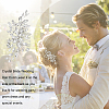 AHADERMAKER 1Pc Wedding Bridal Hair Combs OHAR-GA0001-06-6
