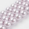 Shell Pearl Beads Strands X-BSHE-K011-8mm-MA722-1