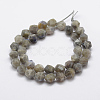 Natural Labradorite Beads Strands G-K209-02E-8mm-2