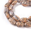 Natural Leopard skin Jasper Beads Strands G-I231-10-3