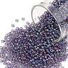 TOHO Round Seed Beads SEED-TR11-0166D-1