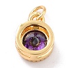 Real 18K Gold Plated Brass Inlaid Cubic Zirconia Charms ZIRC-L100-081G-03-3