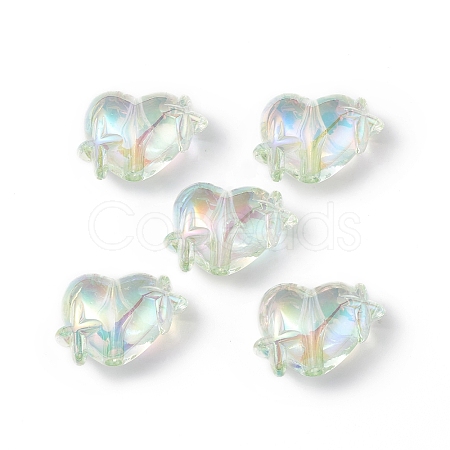 Transparent Acrylic Beads OACR-B005-01H-1