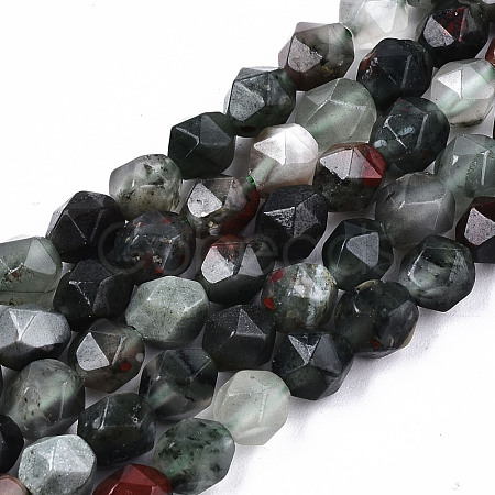 Natural African Bloodstone Beads Strands G-S368-008A-1