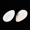 Natural Freshwater Shell Big Pendants SHEL-T020-02-2