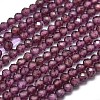 Natural Garnet Beads Strands X-G-O186-D01-2