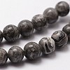 Natural Map Stone/Picasso Stone/Picasso Jasper Bead Strands X-G-D840-60-6mm-3
