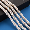 Grade AAA Natural Cultured Freshwater Pearl Beads Strands PEAR-N015-01A-5