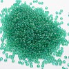 6/0 Glass Seed Beads X-SEED-J013-F6-18-2