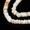 Natural Freshwater Shell Beads Strands SHEL-S278-067-3