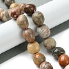 Natural Fossil Coral Beads Strands G-G117-A01-01-2
