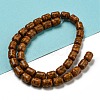 Dyed Synthetic Turquoise Beads Strands G-B070-D02-01-2