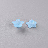 Transparent Acrylic Beads X-PL554-12-2