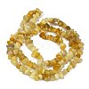 Natural Topaz Jade Chip Beads Strands G-M205-16A-5