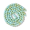 Baking Paint Glass Bead Strands GLAA-H031-01B-08-3