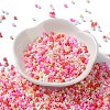 Baking Paint Glass Seed Beads SEED-S042-05A-08-2