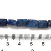 Natural Lapis Lazuli Beads Strands G-G085-A02-01-4