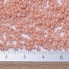 MIYUKI Round Rocailles Beads X-SEED-G007-RR0596-4