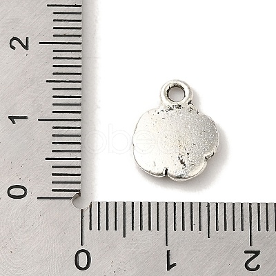 Tibetan Style Alloy Pendants TIBEP-L021-04AS-02-1