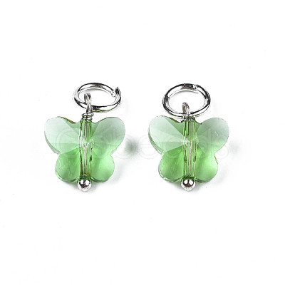 Faceted Transparent Glass Charms GLAA-T024-06G-1