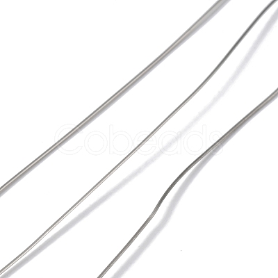 Non-Tarnish 10 Rolls 304 Stainless Steel Wire TWIR-H001-01C-P-1